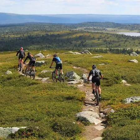 Holiday home Cozy On Sjusjolia By The Trail Network Sauna *