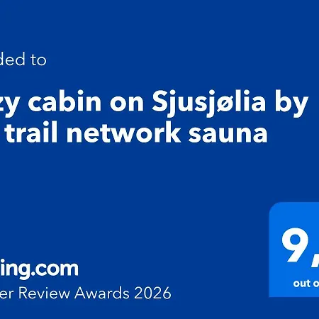 Vakantiehuis Cozy On Sjusjolia By The Trail Network Sauna Sjusjøen